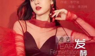 唐艺简介资料个人